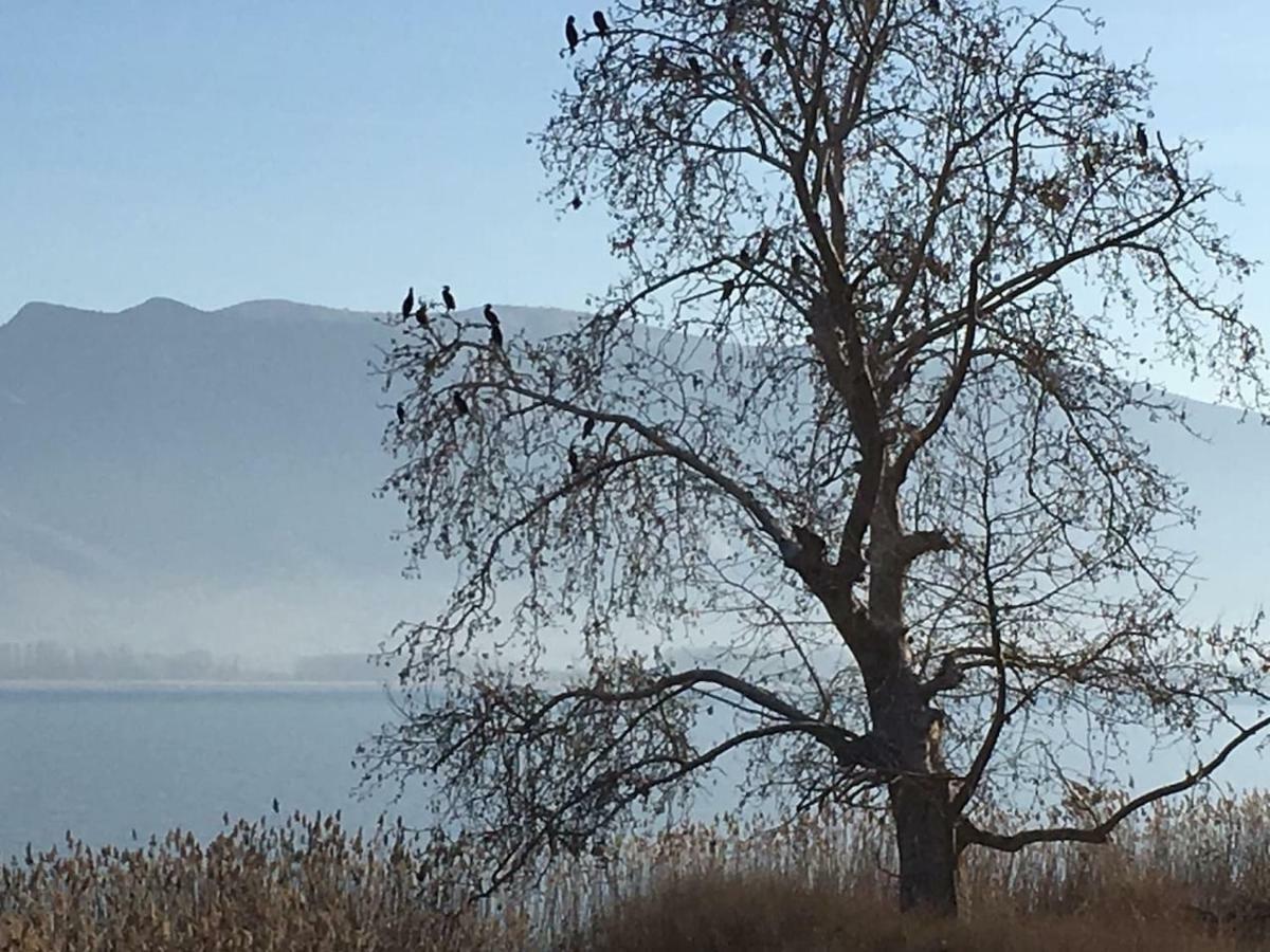 The Little Stone House By The Lake Kastoria Exteriér fotografie